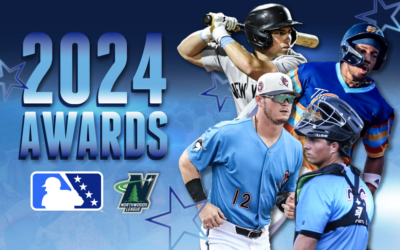 Former Dock Spiders Honored with Minor League Baseball Awards in 2024