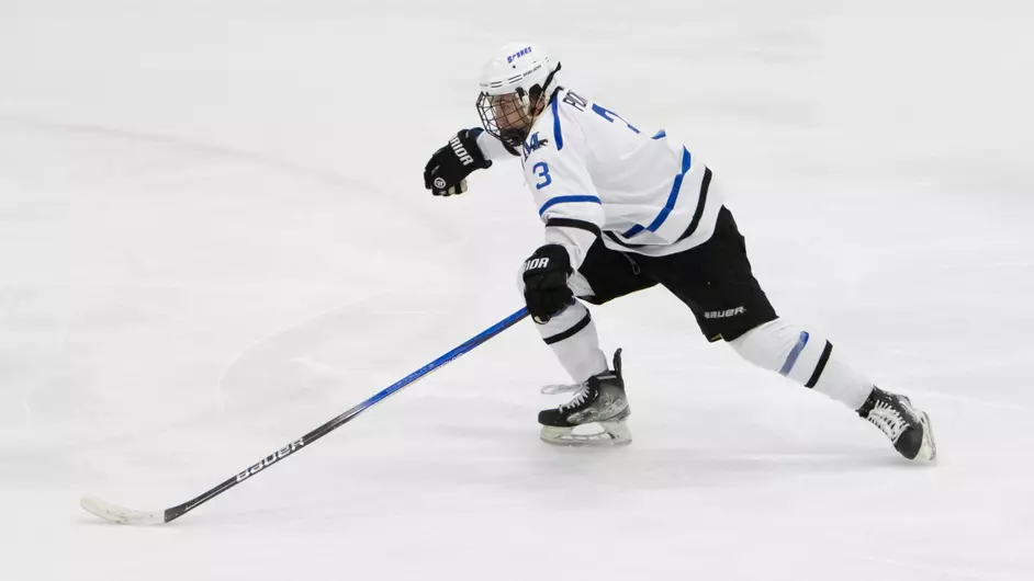 Men playing college hockey