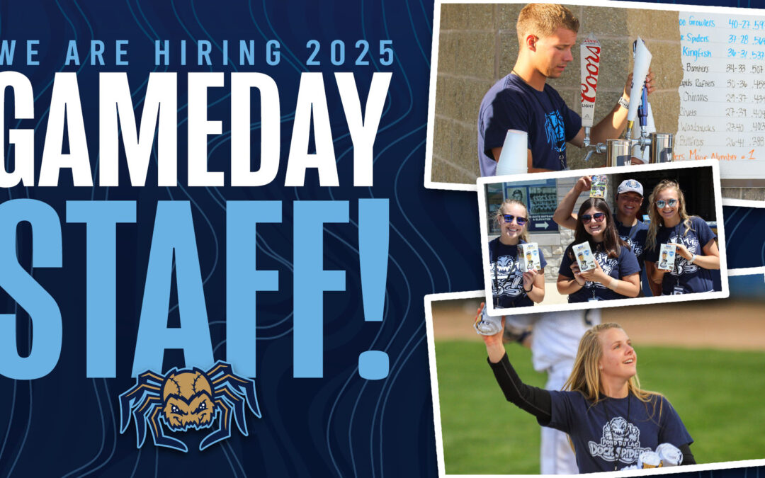 Dock Spiders Seeking Game Day Team Members for 2025