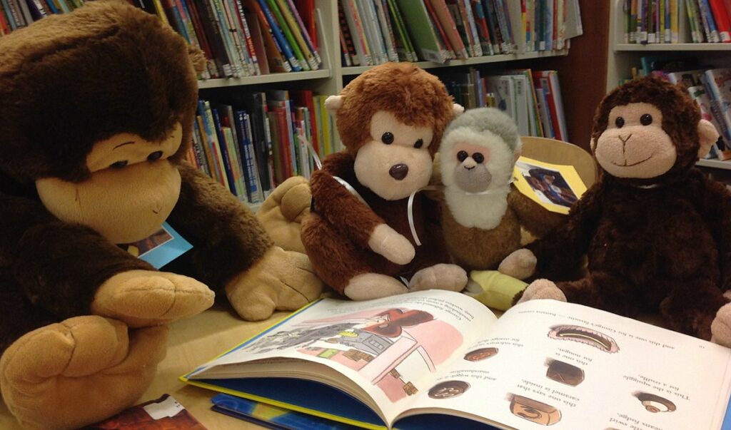 stuffed animals reading