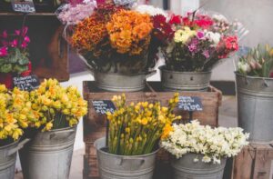 Bouquets of flowers