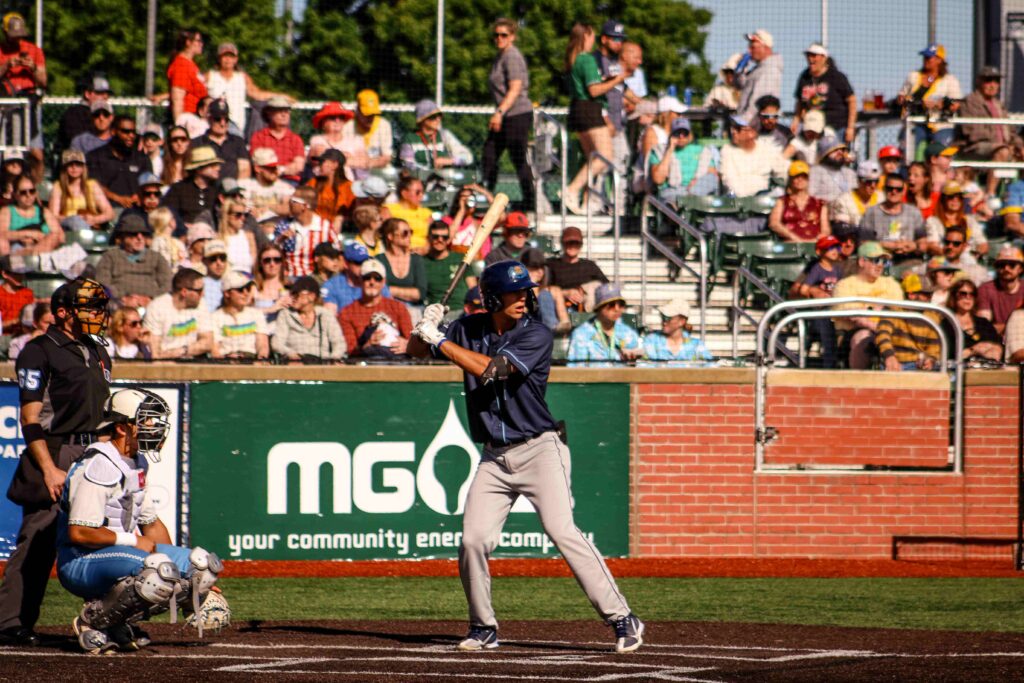 Baseball batter