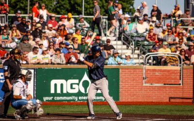Dock Spiders Fall to the Mallards at Warner Park