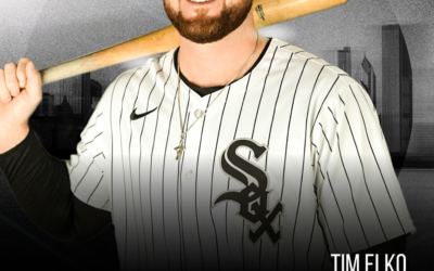 Former Fond du Lac Dock Spider Tim Elko Debuts with the White Sox