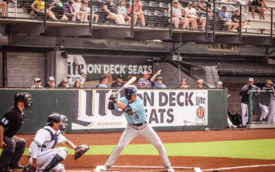 Dock Spiders Fall to Woodchucks in Wausau