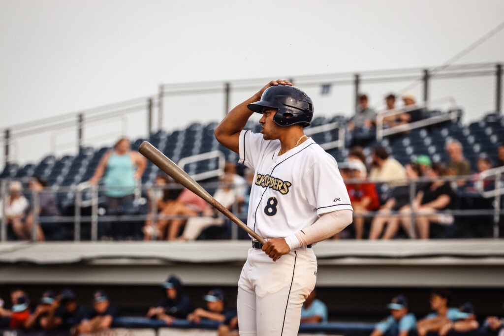 Baseball batter