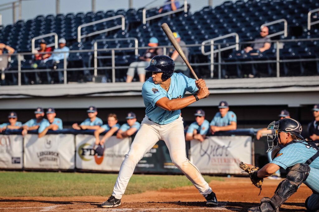 Baseball batter