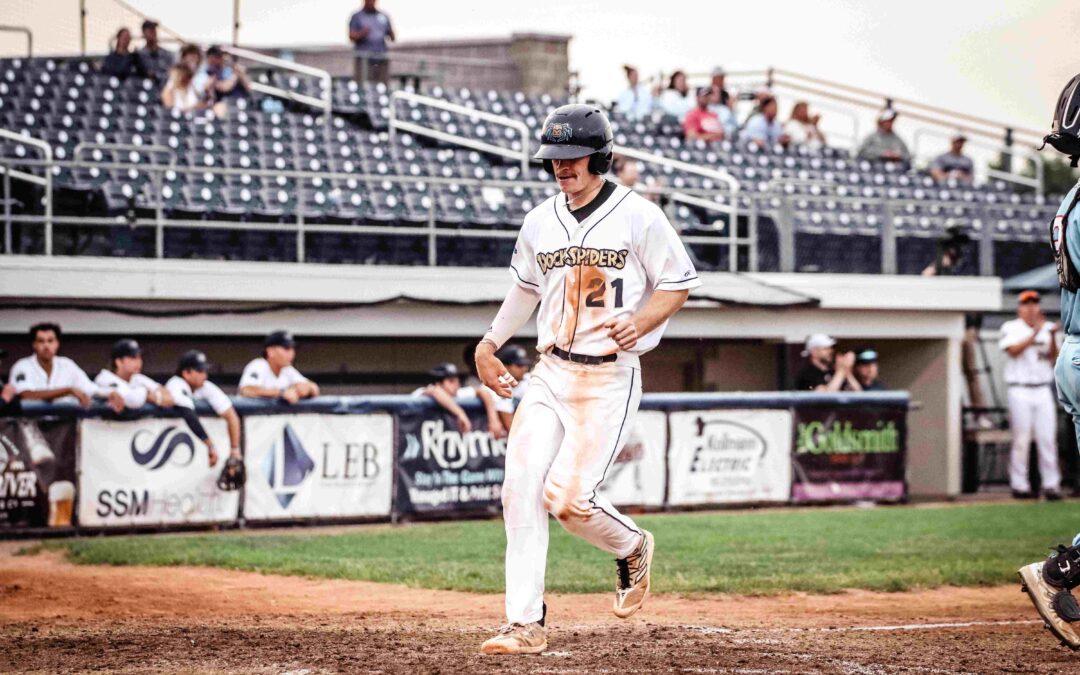 Dock Spiders Push Past Woodchucks