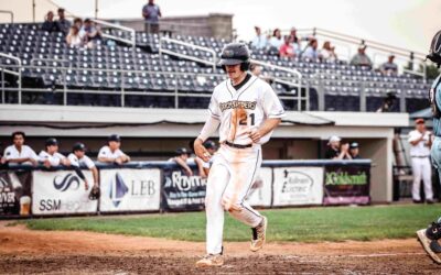 Dock Spiders Push Past Woodchucks