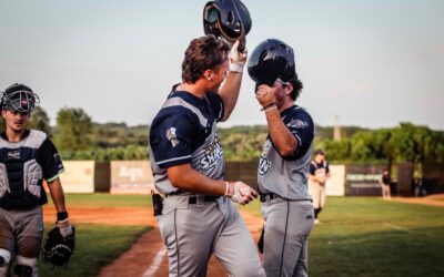 Dock Spiders Fall Short Against Woodchucks  