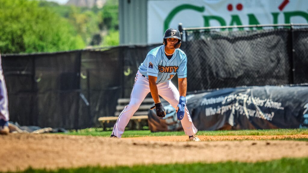 Baseball player in the field