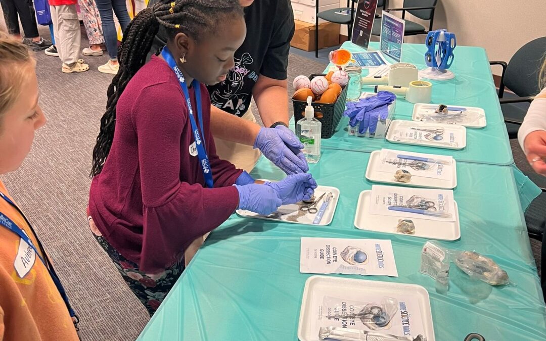 Hands-on program boosts girls’ interest in STEAM careers