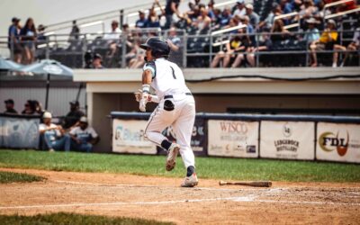 Dock Spiders Fall to the Mallards
