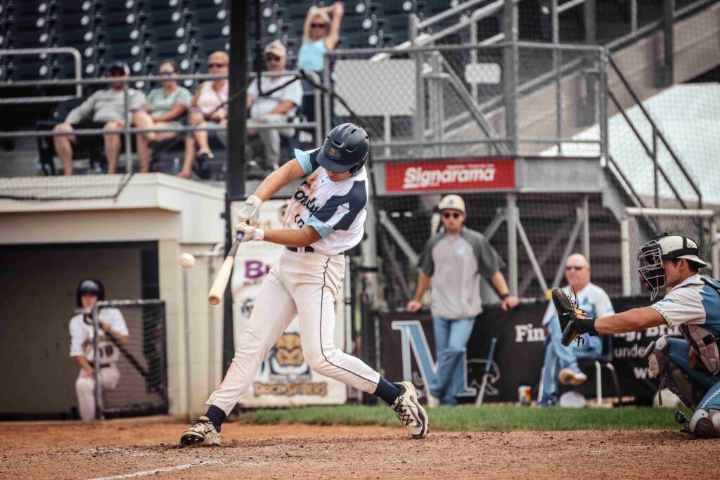 Baseball batter