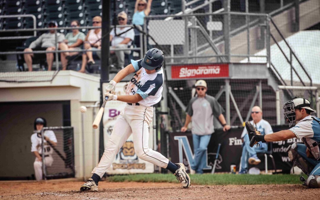 Dock Spiders Fall to the Mallards