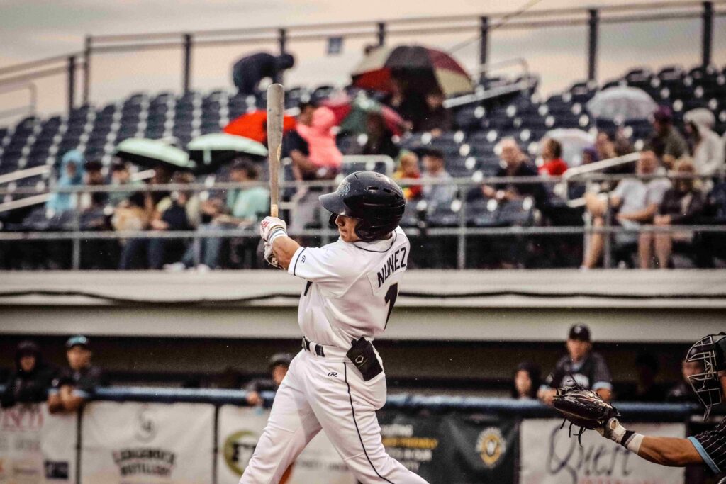 baseball batter