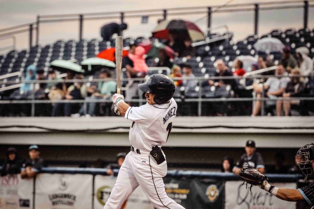 Baseball batter