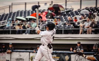 Dock Spiders Fall to the Woodchucks