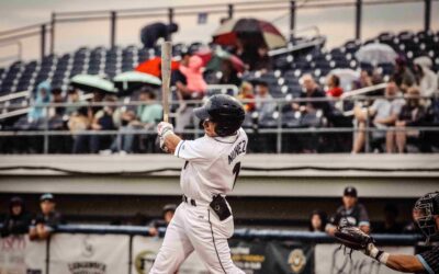 Dock Spiders Fall to the Woodchucks