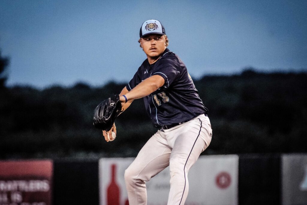 Baseball pitcher