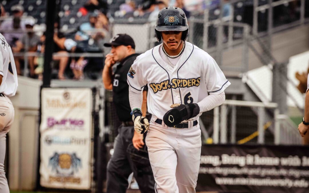 Dock Spiders Sweep the Rafters