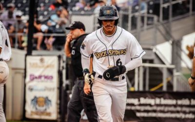 Dock Spiders Sweep the Rafters