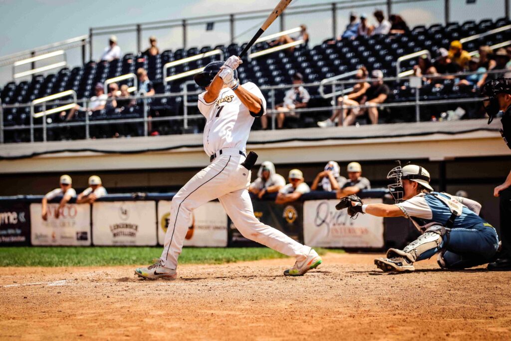 Baseball batter