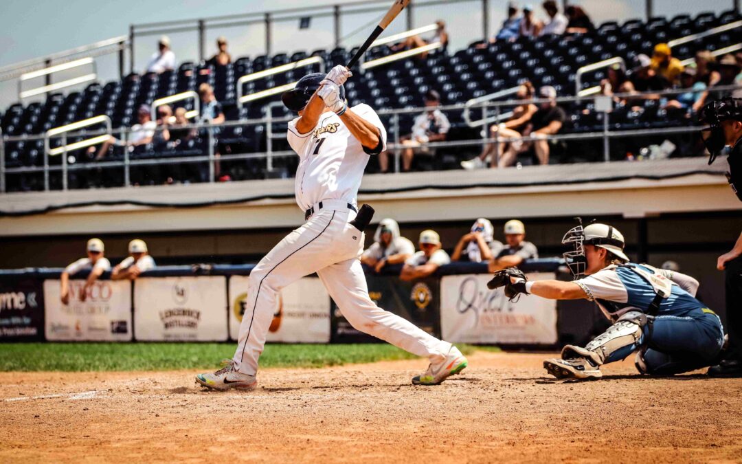 Dock Spiders Swept by the Mallards at Home