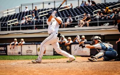 Dock Spiders Swept by the Mallards at Home