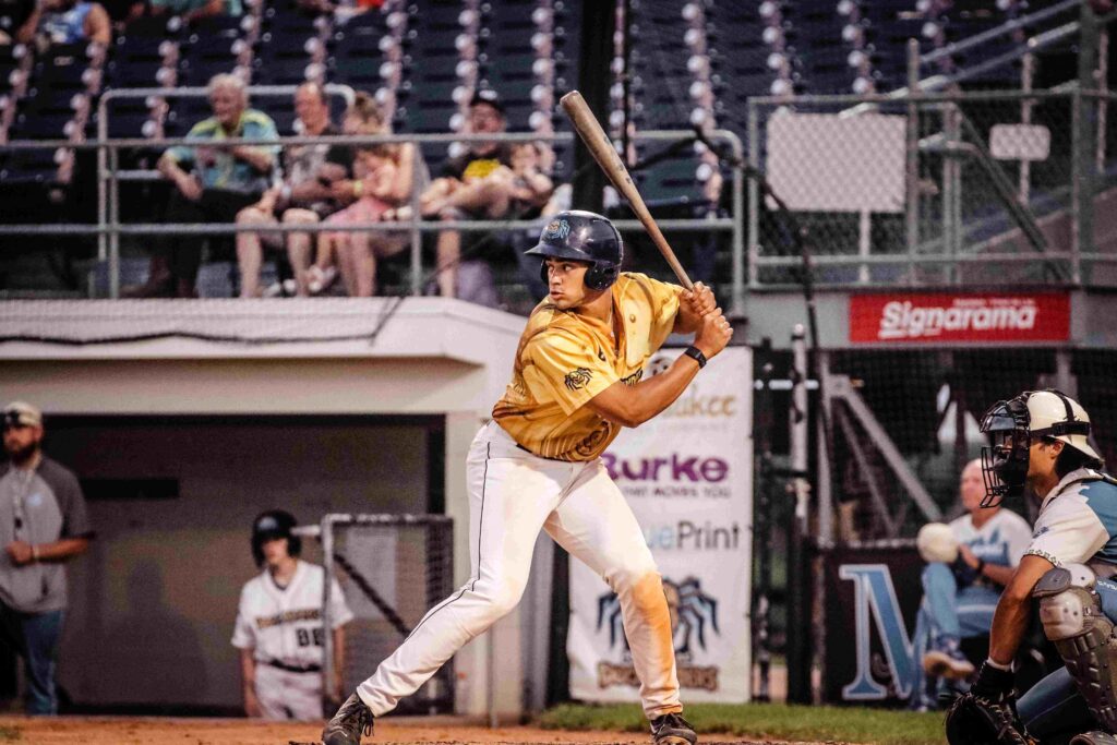 Baseball batter