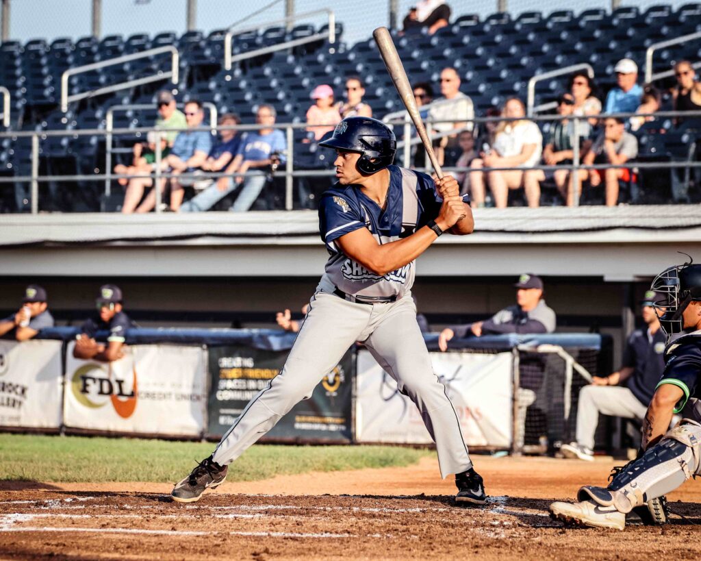 Baseball batter