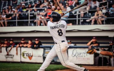 Dock Spiders Fall to the Rockers