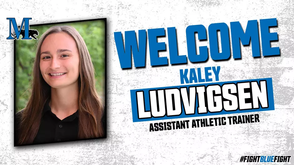 Welcome ludvigsen