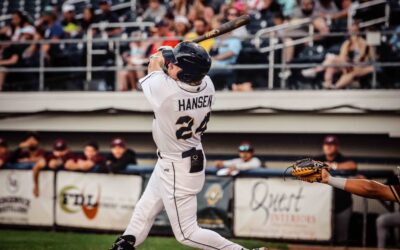 Dock Spiders Drop One to the Rafters