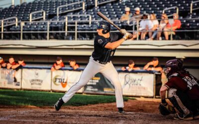 Dock Spiders Drop a Heartbreaker the Mallards