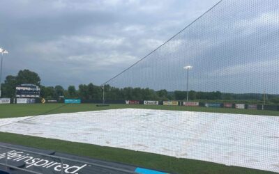 Dock Spiders Fall to the Chinooks