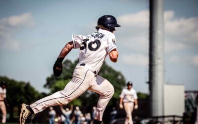 Dock Spiders Split with the Mallards