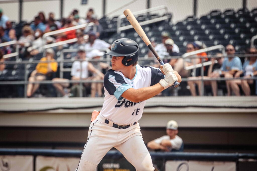 Baseball batter