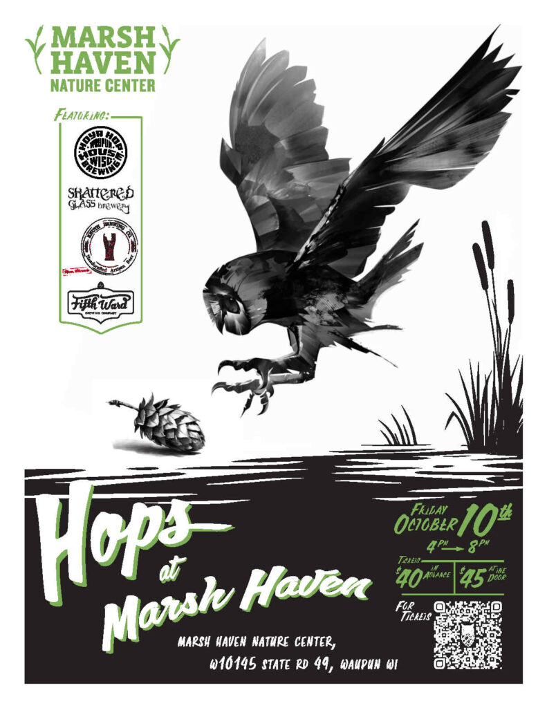 An owl on a flyer