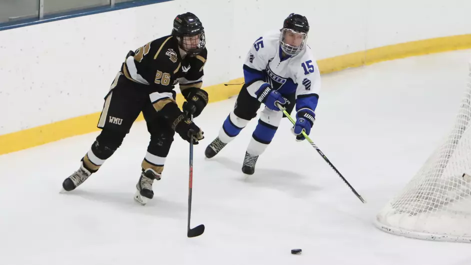 Men playing college hockey