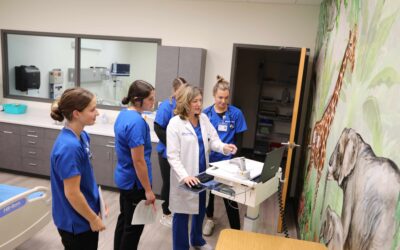 Marian University Nursing Program Ranked #1 in Wisconsin and the Nation on2024–25 NCLEX-RN Results