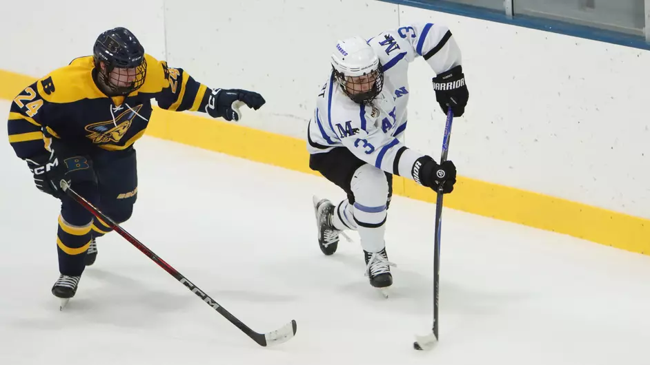 Men playing college hockey