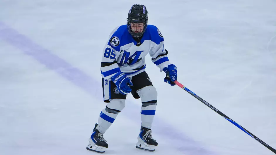 Women playing college hockey