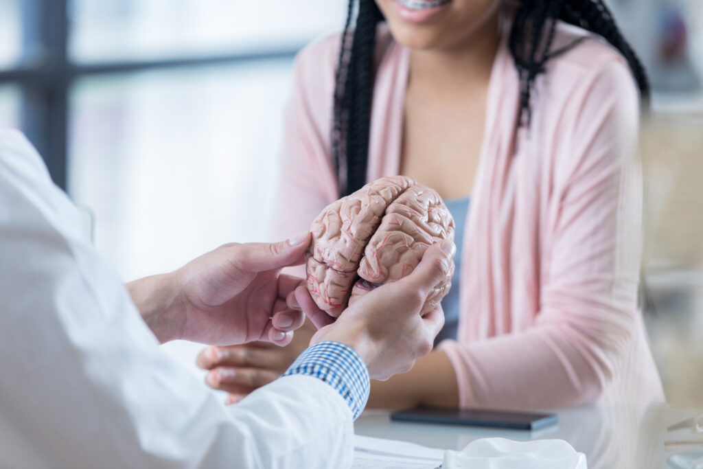 Doctors hand holding a model of the brain and talking with a patient