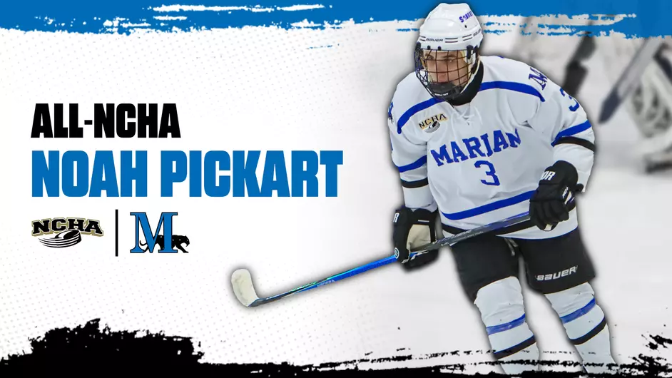 All star male hockey player