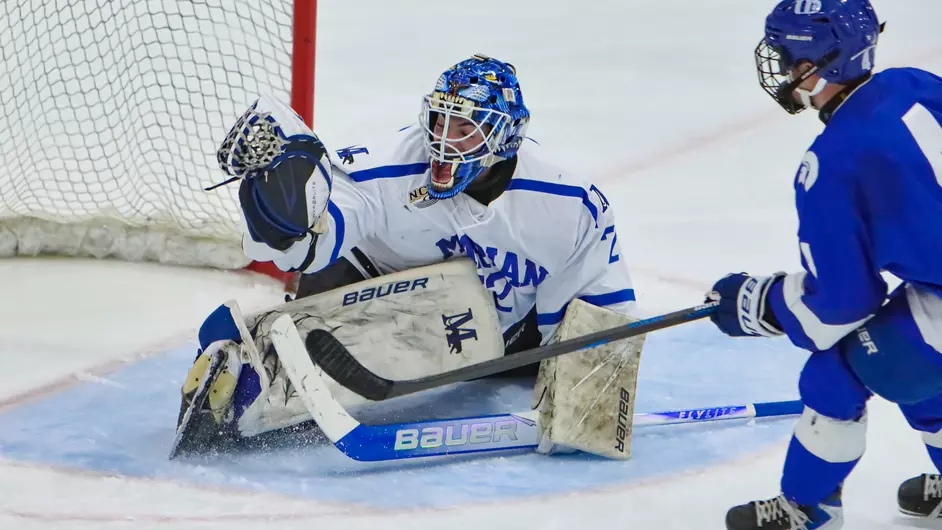 Men playing college hockey
