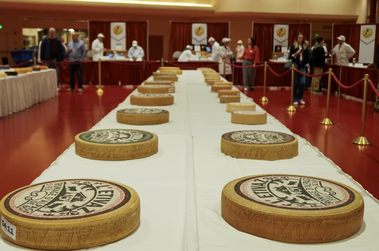A long table with wheels of cheese