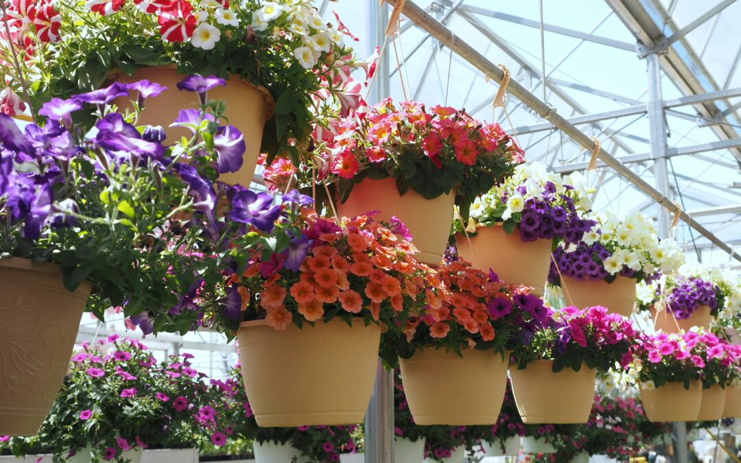 RCH Auxiliary to host annual flower sale, May 4 and 5