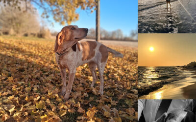 Winners named in 12th-annual Fond du Lac Public Library Teen Photo Contest