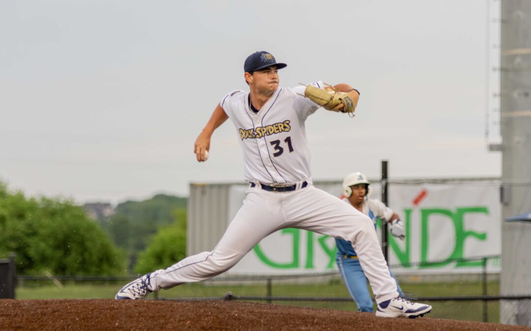 Dock Spiders Drop Home Opener to the Mallards